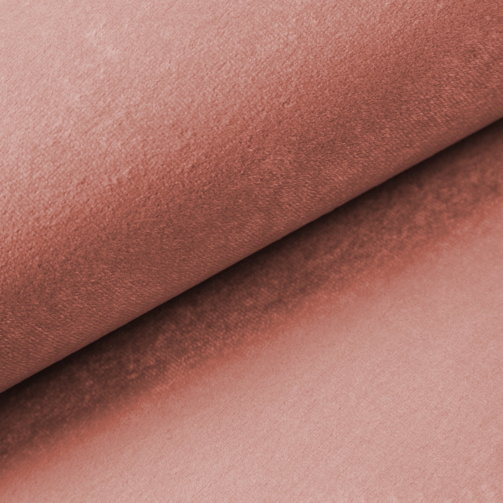 Velvet Pink Salmon